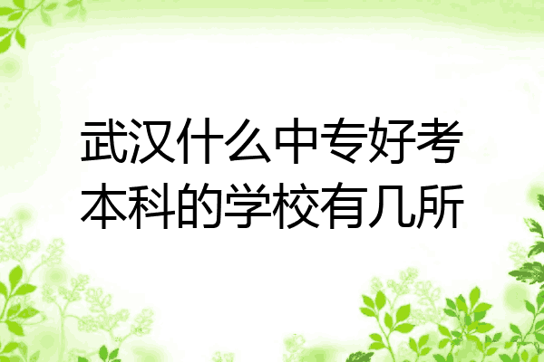武汉什么中专好考本科的学校有几所