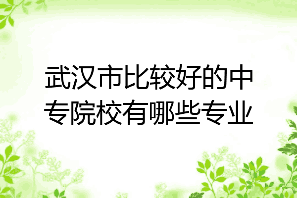 武汉市比较好的中专院校有哪些专业