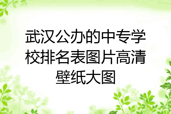 武汉公办的中专学校排名表图片高清壁纸大图