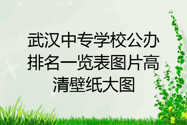 武汉中专学校公办排名一览表图片高清壁纸大图