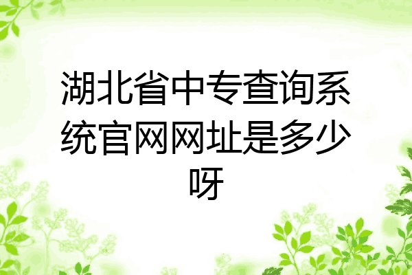 湖北省中专查询系统官网网址是多少呀