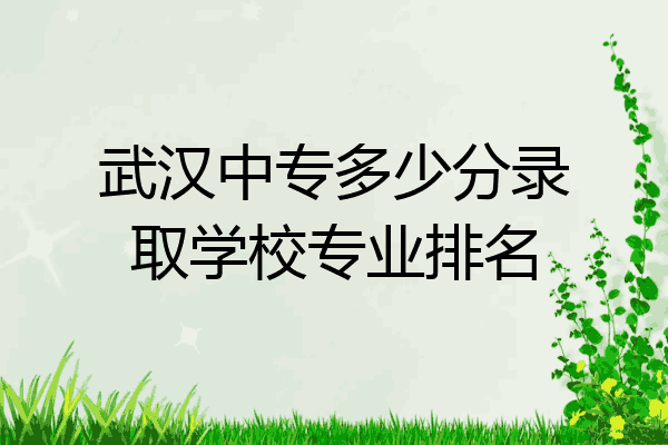 武汉中专多少分录取学校专业排名