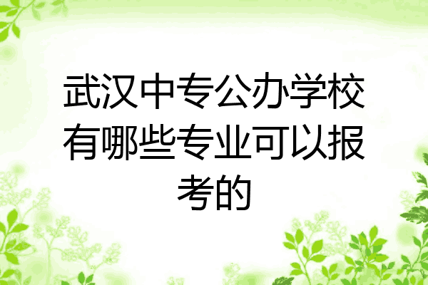 武汉中专公办学校有哪些专业可以报考的