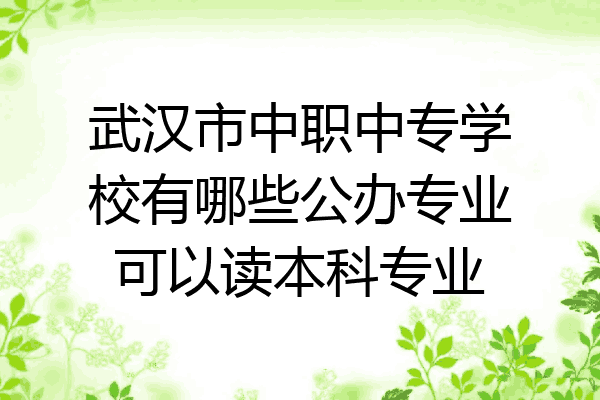 武汉市中职中专学校有哪些公办专业可以读本科专业