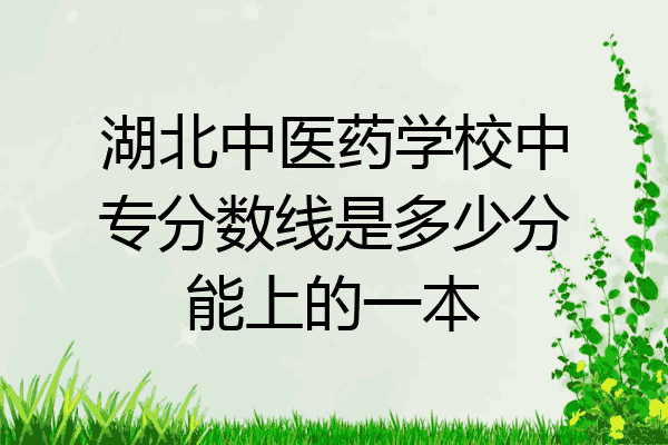 湖北中医药学校中专分数线是多少分能上的一本