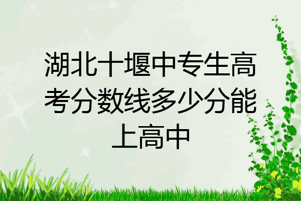 湖北十堰中专生高考分数线多少分能上高中