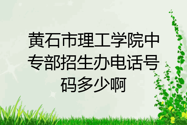 黄石市理工学院中专部招生办电话号码多少啊