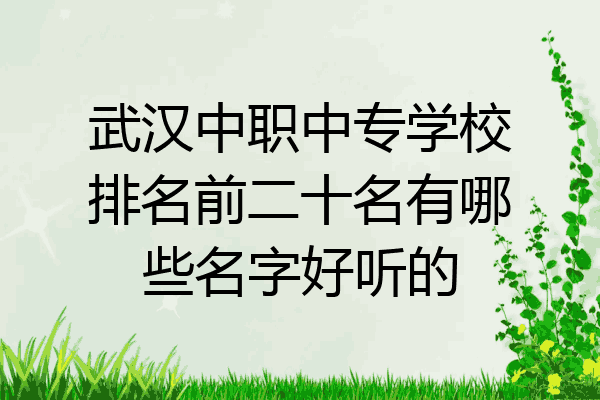 武汉中职中专学校排名前二十名有哪些名字好听的