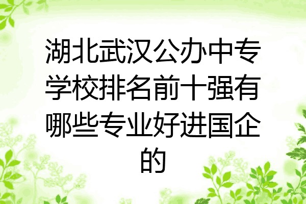 湖北武汉公办中专学校排名前十强有哪些专业好进国企的
