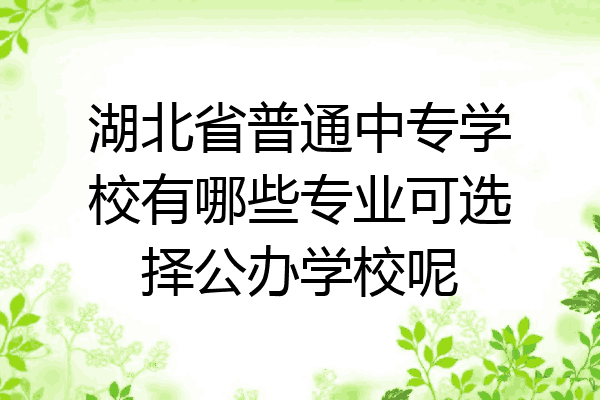 湖北省普通中专学校有哪些专业可选择公办学校呢