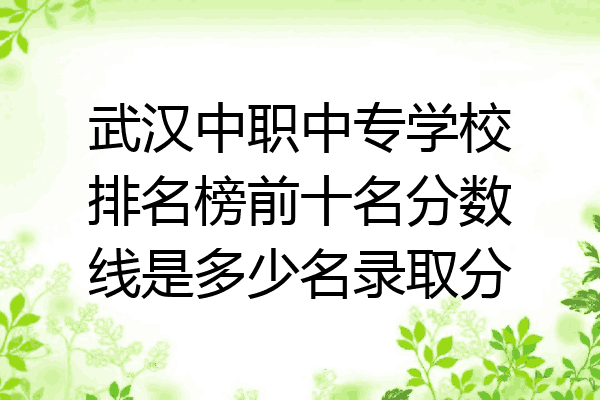 武汉中职中专学校排名榜前十名分数线是多少名录取分