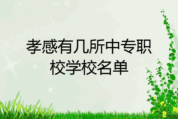 孝感有几所中专职校学校名单