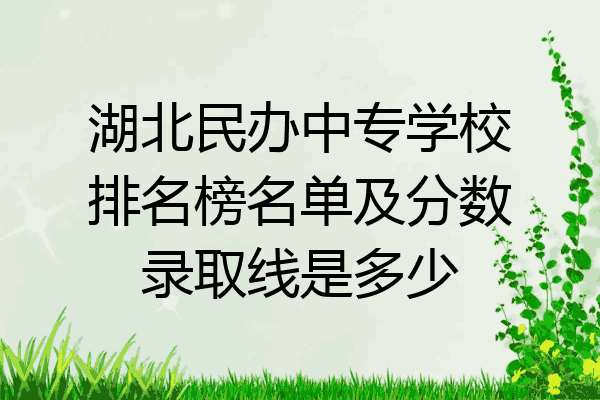 湖北民办中专学校排名榜名单及分数录取线是多少