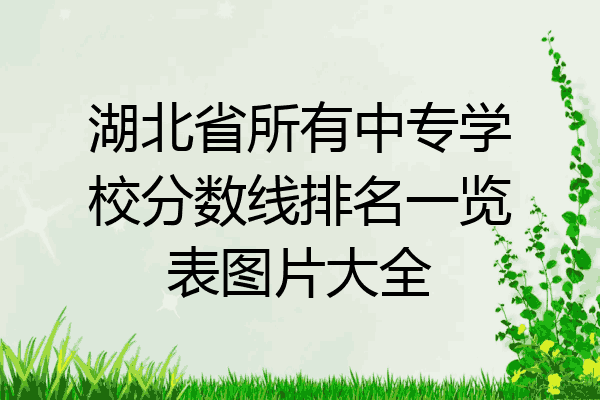 湖北省所有中专学校分数线排名一览表图片大全