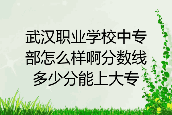 武汉职业学校中专部怎么样啊分数线多少分能上大专