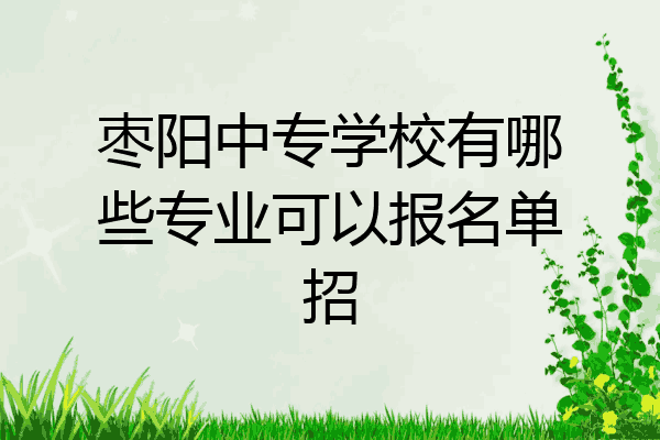 枣阳中专学校有哪些专业可以报名单招