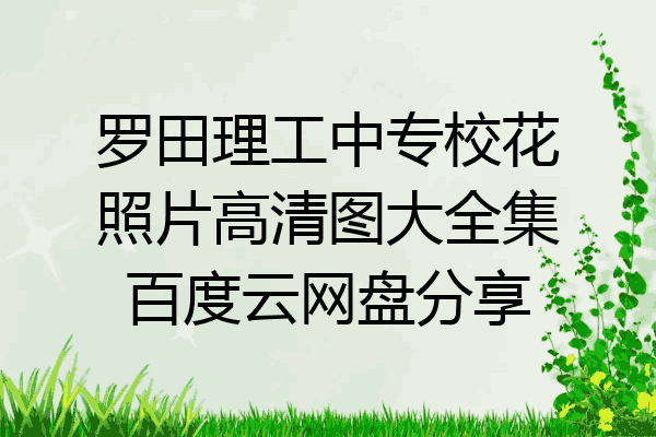 罗田理工中专校花照片高清图大全集百度云网盘分享