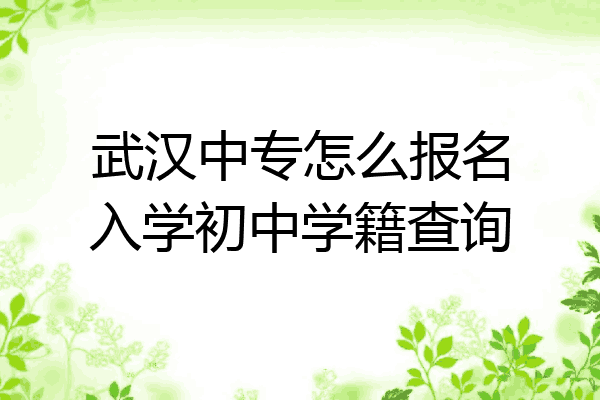 武汉中专怎么报名入学初中学籍查询