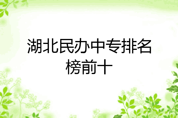 湖北民办中专排名榜前十