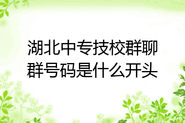湖北中专技校群聊群号码是什么开头