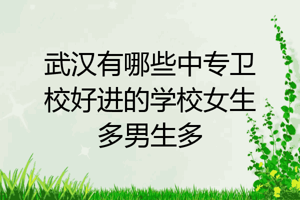 武汉有哪些中专卫校好进的学校女生多男生多