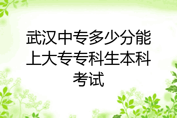 武汉中专多少分能上大专专科生本科考试