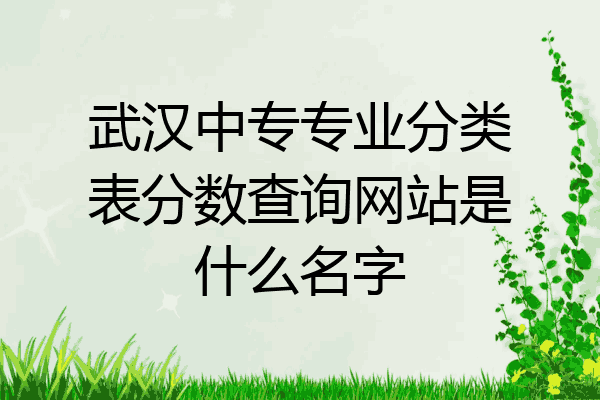 武汉中专专业分类表分数查询网站是什么名字