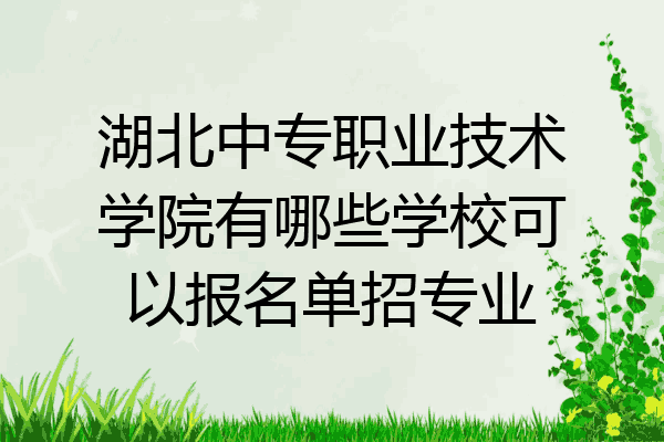 湖北中专职业技术学院有哪些学校可以报名单招专业