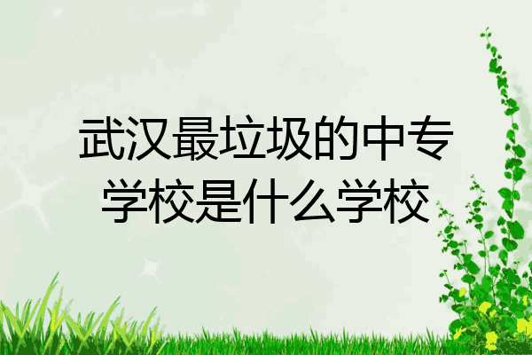 武汉最垃圾的中专学校是什么学校