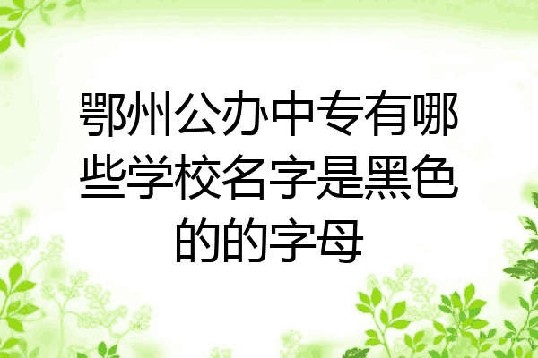 鄂州公办中专有哪些学校名字是黑色的的字母