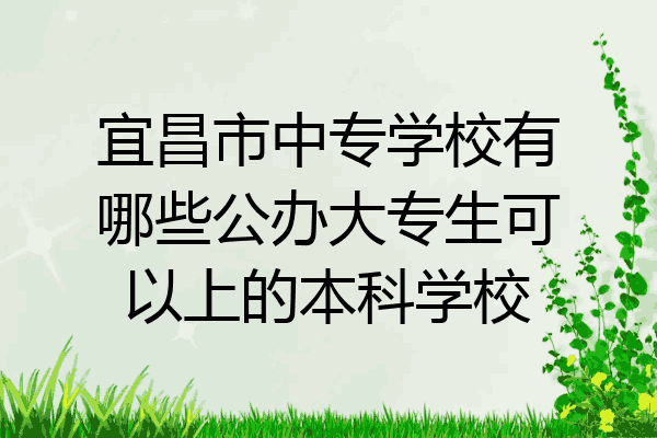 宜昌市中专学校有哪些公办大专生可以上的本科学校