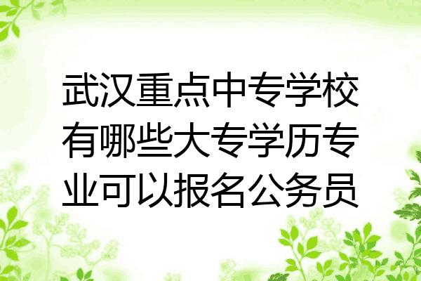武汉重点中专学校有哪些大专学历专业可以报名公务员