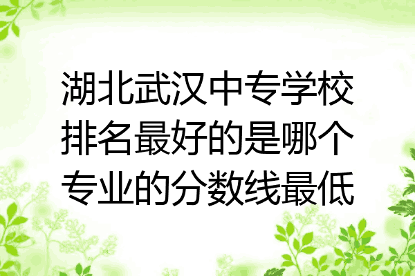 湖北武汉中专学校排名最好的是哪个专业的分数线最低