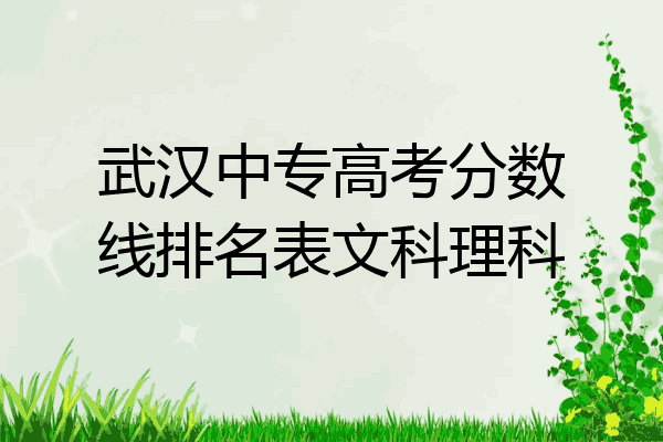 武汉中专高考分数线排名表文科理科
