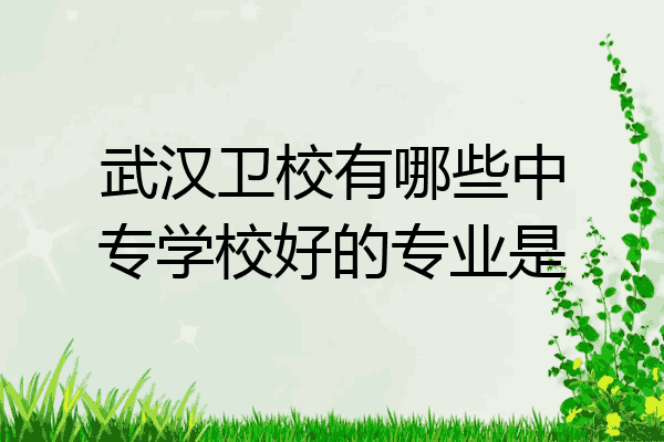 武汉卫校有哪些中专学校好的专业是