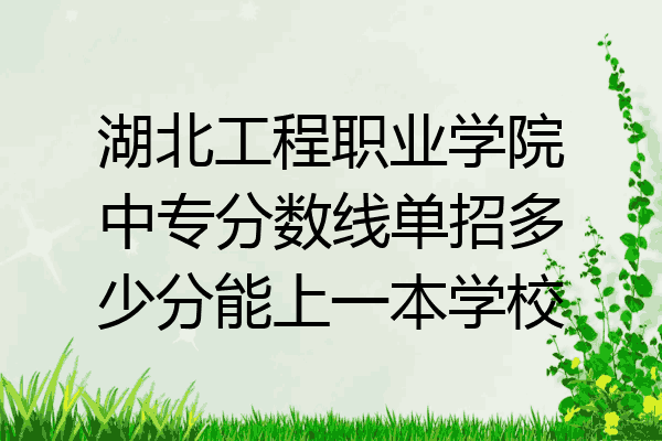 湖北工程职业学院中专分数线单招多少分能上一本学校
