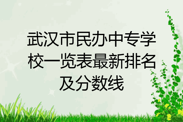 武汉市民办中专学校一览表最新排名及分数线