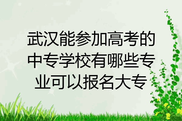 武汉能参加高考的中专学校有哪些专业可以报名大专