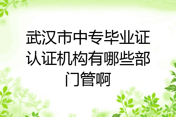 武汉市中专毕业证认证机构有哪些部门管啊