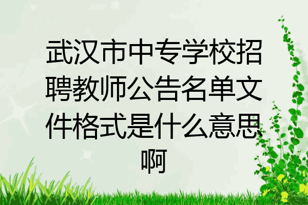 武汉市中专学校招聘教师公告名单文件格式是什么意思啊