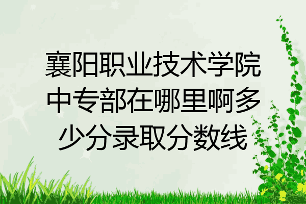 襄阳职业技术学院中专部在哪里啊多少分录取分数线