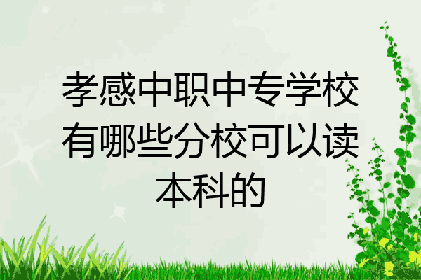 孝感中职中专学校有哪些分校可以读本科的