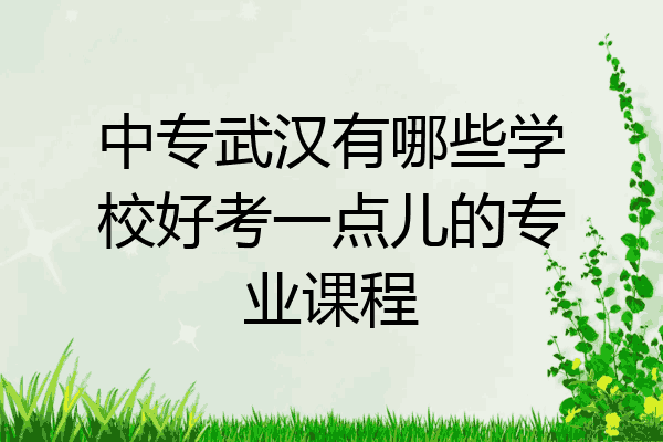 中专武汉有哪些学校好考一点儿的专业课程