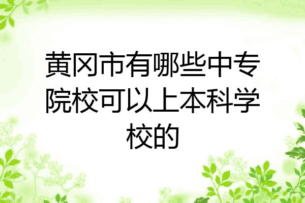 黄冈市有哪些中专院校可以上本科学校的