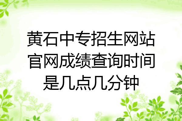 黄石中专招生网站官网成绩查询时间是几点几分钟