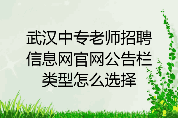 武汉中专老师招聘信息网官网公告栏类型怎么选择