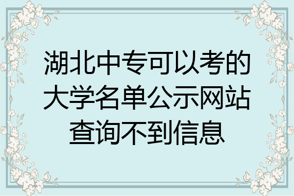 湖北中专可以考的大学名单公示网站查询不到信息