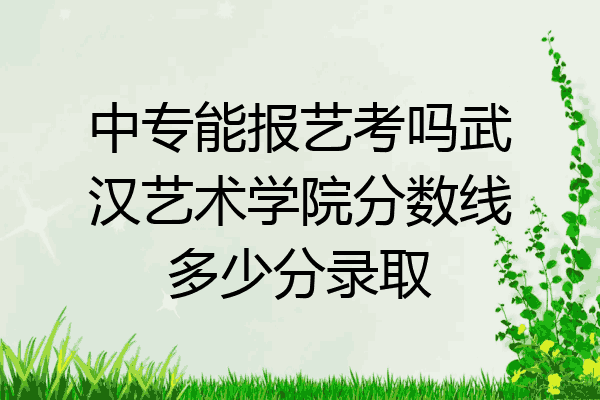中专能报艺考吗武汉艺术学院分数线多少分录取