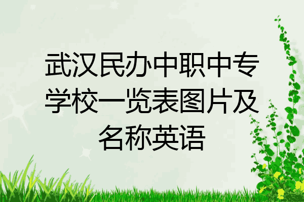 武汉民办中职中专学校一览表图片及名称英语