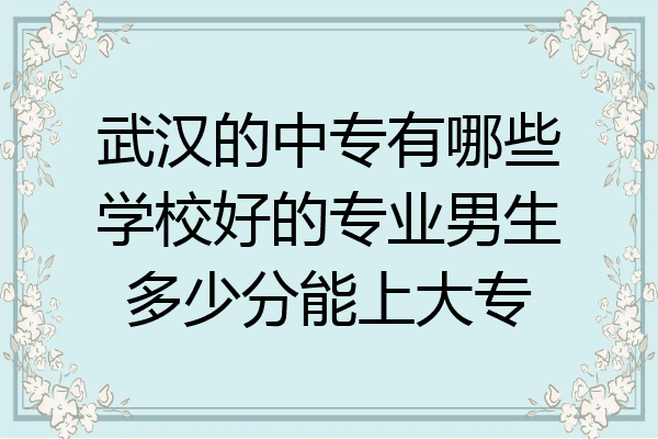 武汉的中专有哪些学校好的专业男生多少分能上大专